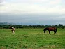 Экскурсия в национальную деревню Кайныран3
