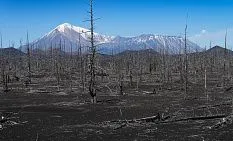 Толбачик + Эссо, 5 дней/4 ночи